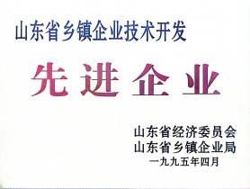 山东省州里企业手艺开发先进企业