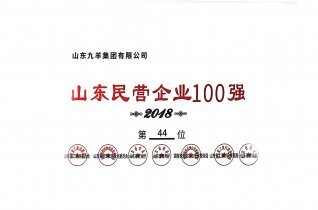 山东民营企业100强 18年度