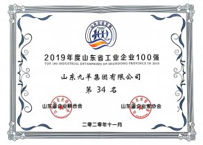 山东省工业企业100强第34位 20年度