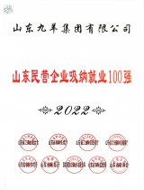 山东民营企业吸纳就业100强 22年度